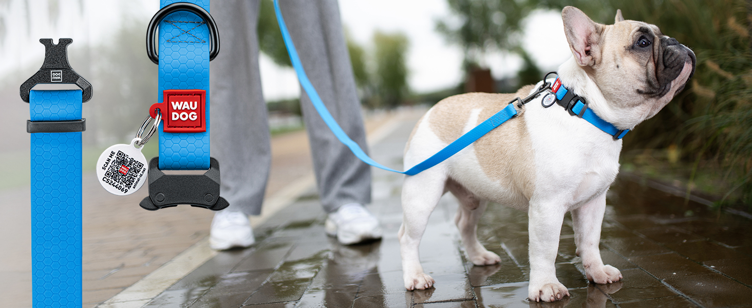 Нашийник для собак WAUDOG: шкіряний нашийник для великих, середніх та маленьких собак, цуценят. Ширина 15 мм, довжина 27-36 см. Чорний колір.