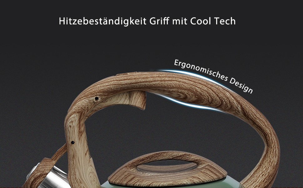 Чайник Poliviar Teekessel Diamant-Grün з нержавіючої сталі, стійкий до корозії та високих температур, підходить для всіх типів плит (JX2020-RH30-DE)