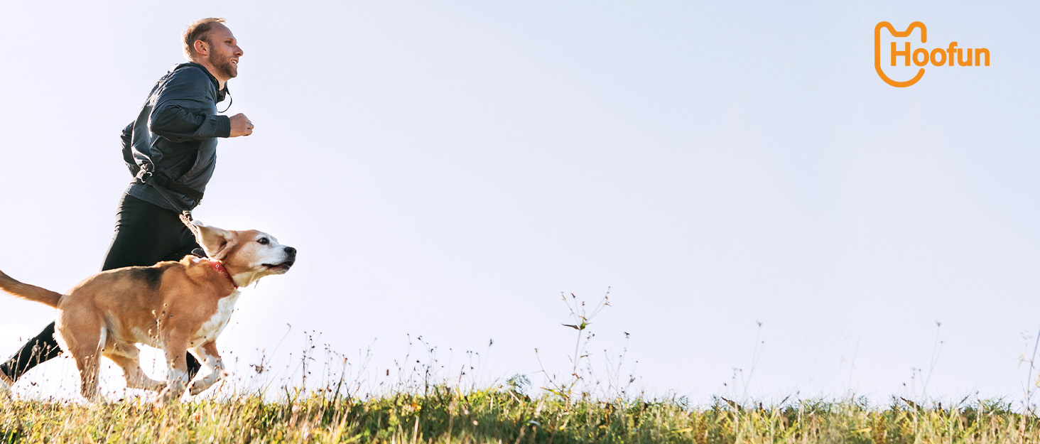 Професійна шерстьрізка для собак та котів Hoofun 4-в-1, IPX7, бездротова, з 4 насадками