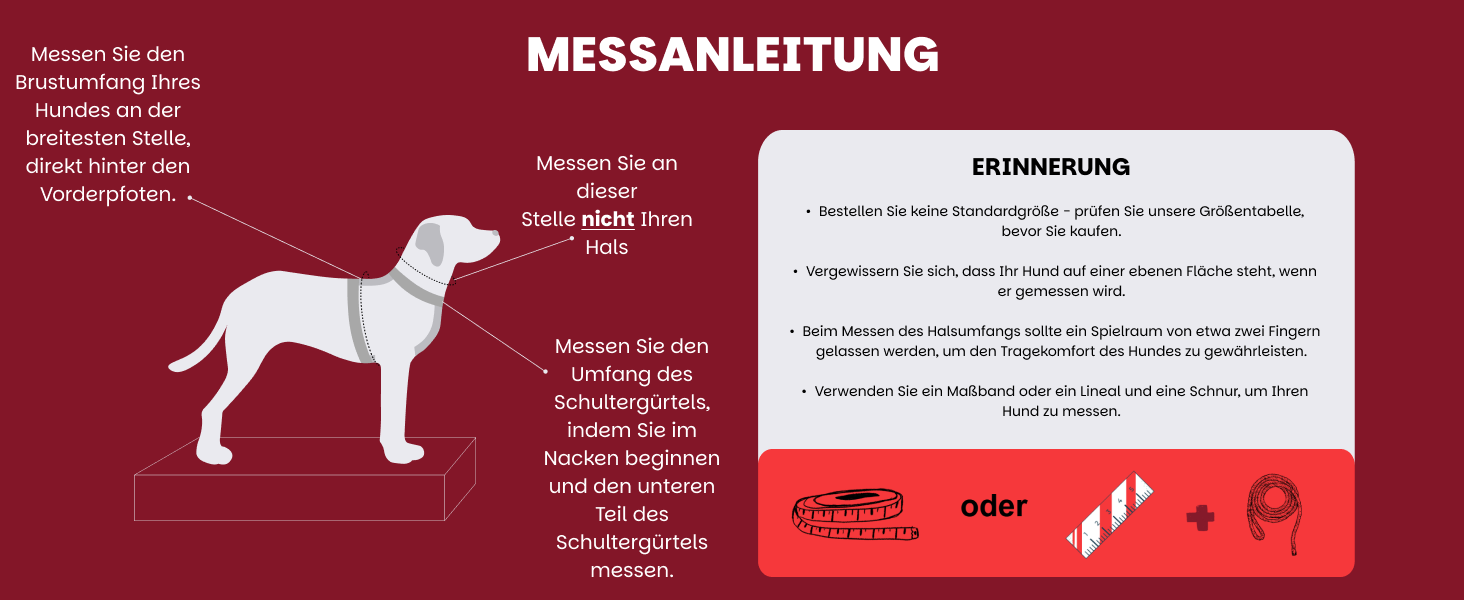 Шлейка для собак середніх порід | Не вбирає вологу | Регульована | З контролем | Легка класична шлейка | Dog Harness | Eternal Rose, M - виміряйте розмір собаки