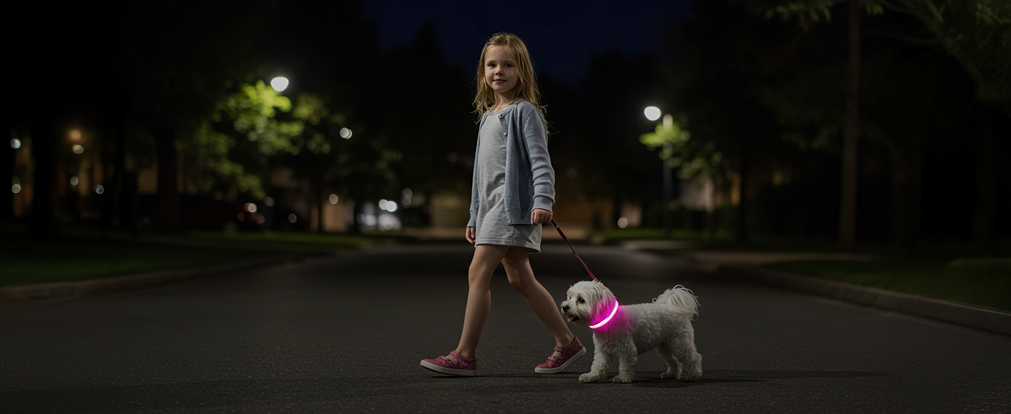 Світлодіодне нашийник для собак Jewyow 7-в-1, багатоквітний, USB-C, водонепроникний, для малих, середніх та великих собак - Синій, M