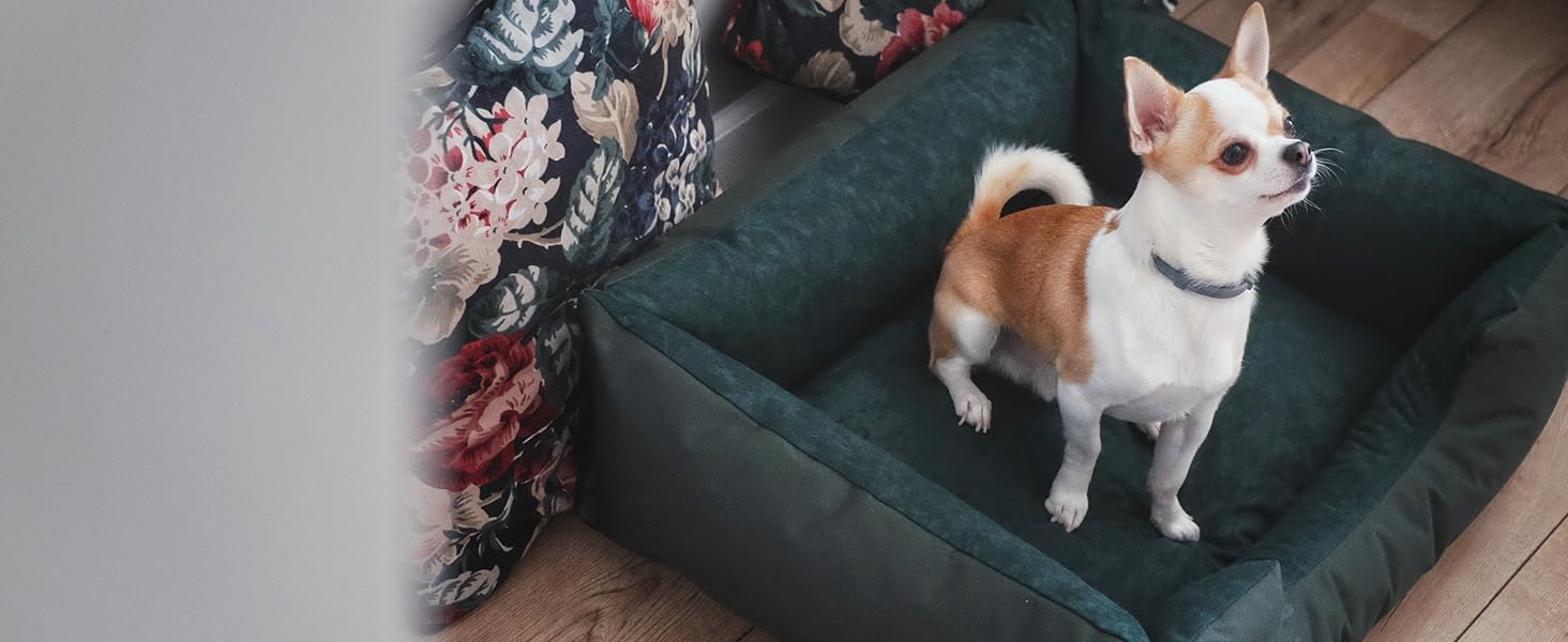 Лягушкове ліжко для собак BedDog Zara, м'яке ліжко-подушка для собак знімним та пральним чохлом, кошик для собак, собаче ліжко-диван, для маленьких собак, S L 70 x 55 x 18 см, світло-пісочний (світло-бежевий)