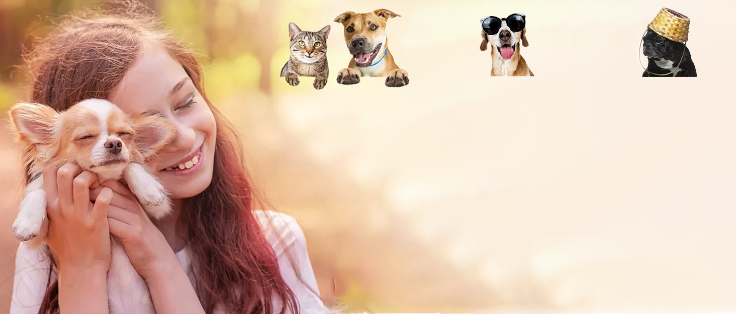 Сумка-кенгуру для собак і котів Cuby: чорна, S, з регульованим ременем, сітчаста, з застібкою-блискавкою та гачком