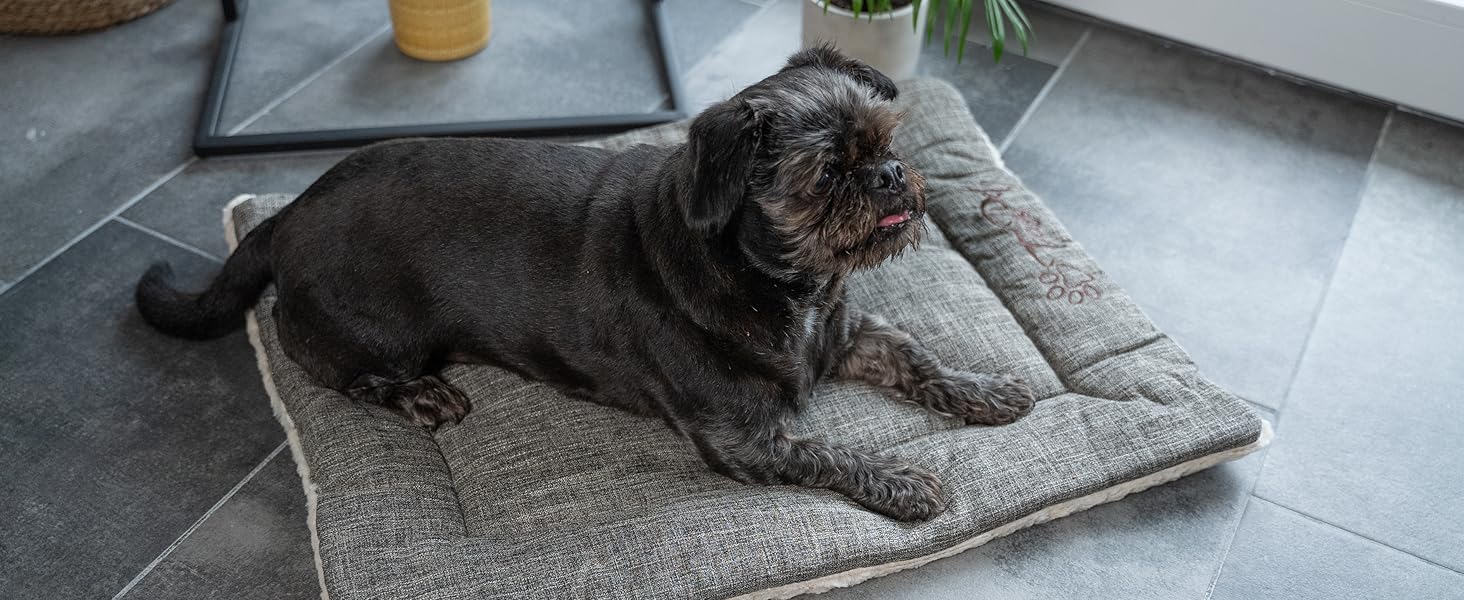 TrendPet Лежанка для собак і котів, двостороння, з підкладкою, 90x65 см, бежева