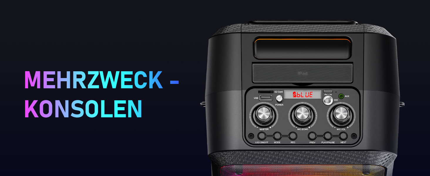 Караоке машина з 2 мікрофонами, портативна Bluetooth караоке система з LED підсвічуванням, Па-система, ідеальна для домашніх вечірок та як подарунок для дорослих та дітей, чорна D13T