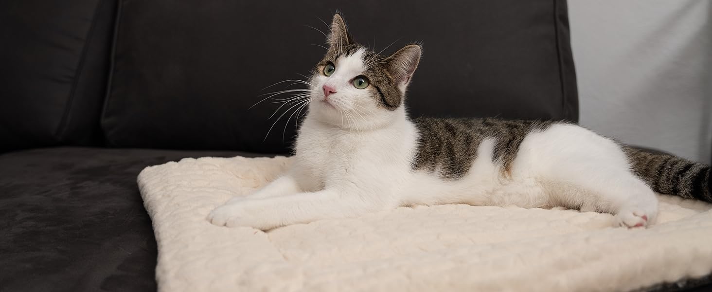 TrendPet Лежанка для собак і котів, двостороння, з підкладкою, 90x65 см, бежева