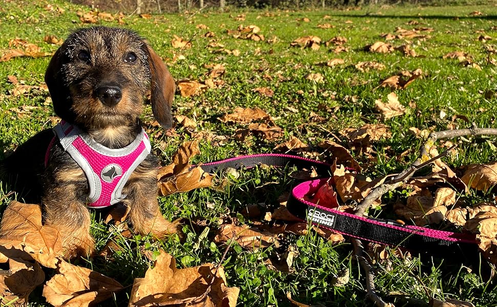 Черевики для хайкінгу Croci Reflective Leopard L - 350 г