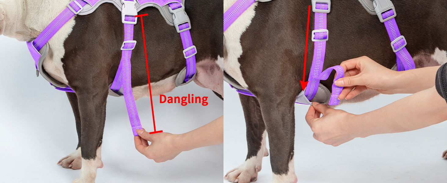 Нашийник для собак Huntboo, великих порід, анти-вислизання, світловідбиваючий, водонепроникний, регульований, для прогулянок та бігу (L, фіолетовий лаванда)