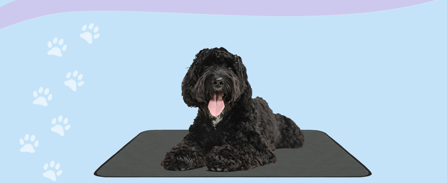 М'яка ковдра для собак Normani - килимок для тварин з безпечного матеріалу, 40x50 см, 60x80 см, 70x100 см, сірий колір