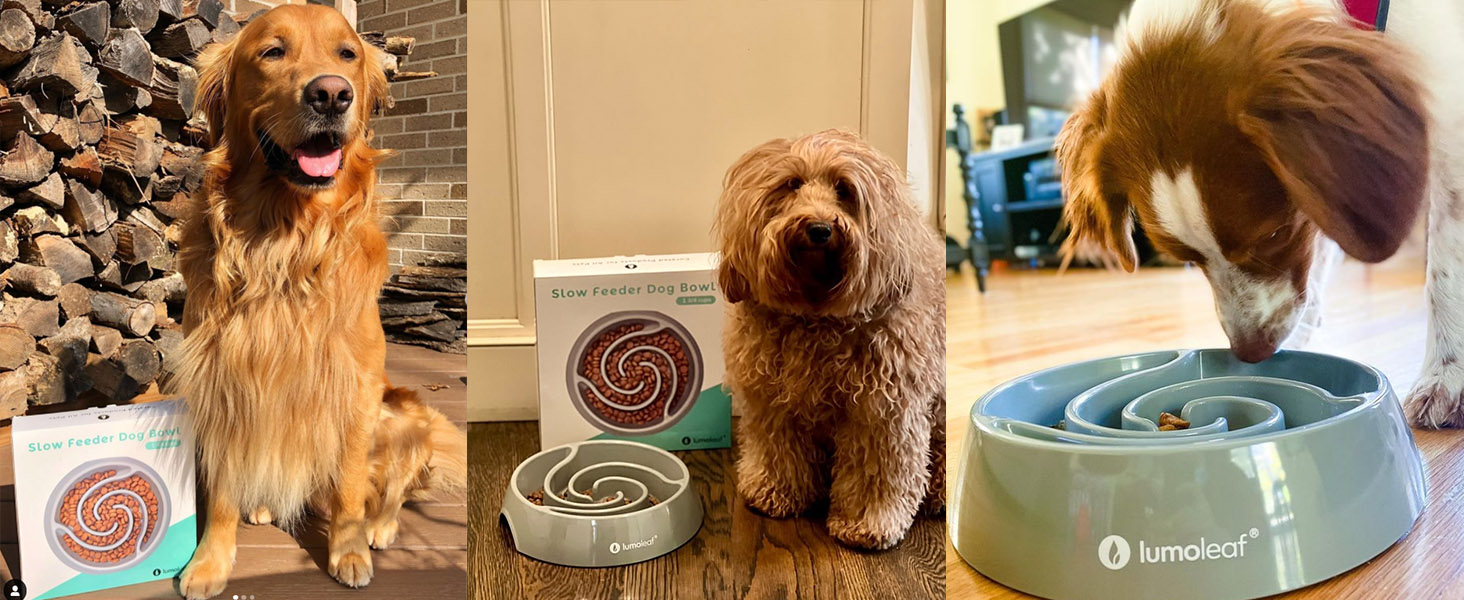 Миска для собак LumoLeaf Antischlingnapf, Ø 22 см, протиковзаюча, важка, для повільного годування, сіра (Торнадо), L