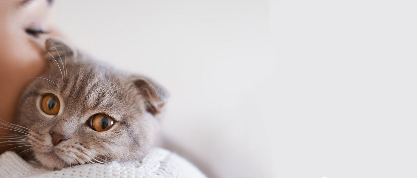 Транспортна сумка для кота та собаки, переноска для собак, складана переноска для котів, портативна, до 5 кг, переноска для середніх собак та котів (M, сіра) 43 x 28 x 28 см