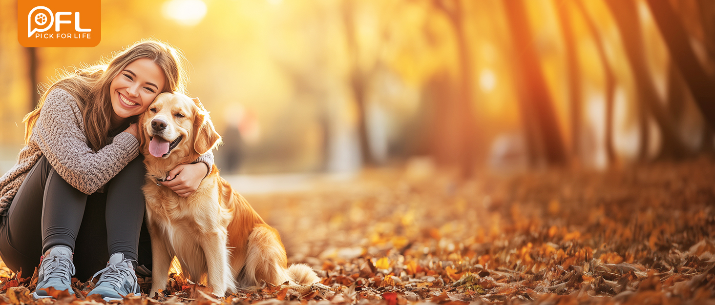 Водонепроникний килимок для собак Pick For Life 96x190 см - захист дивану, ліжка та авто. Підходить для великих та малих собак та котів.