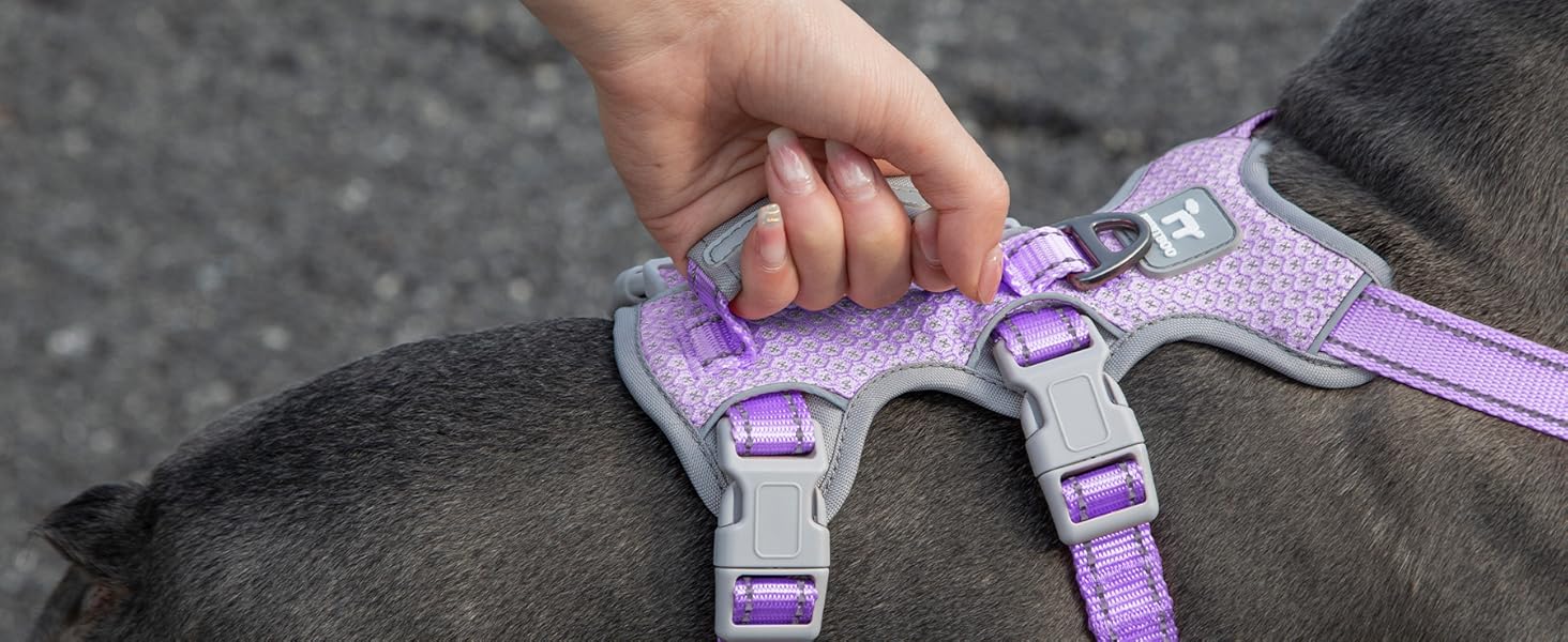 Шлейка для собак Huntboo, безпечна та надійна, з відбиваючими елементами та м'якою ручкою, регульована жилетка для маленьких собак, для прогулянок та тренувань (S, Лавандово-фіолетовий, упаковка з 1)