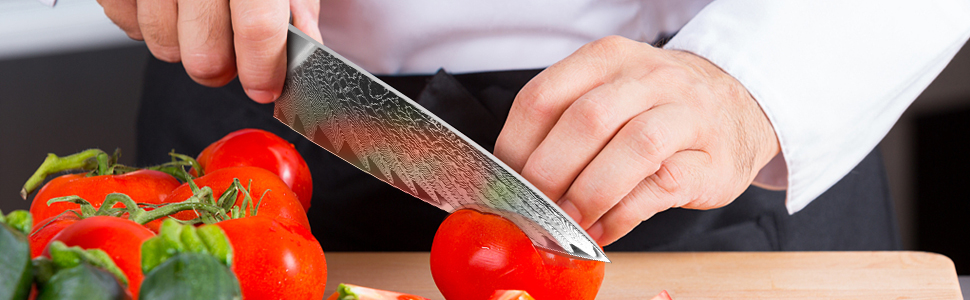 Ніж кухарський SHAN ZU з дамаської сталі AUS10, 67 шарів, професійний, японський, з ручкою G10, у подарунковій коробці