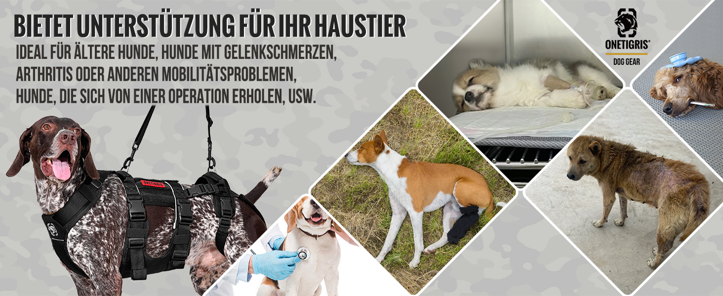 Шлейка для собак OneTigris SKYEWALKER, чорна, XL (39-64 кг) з регулюванням, для підтримки та реабілітації