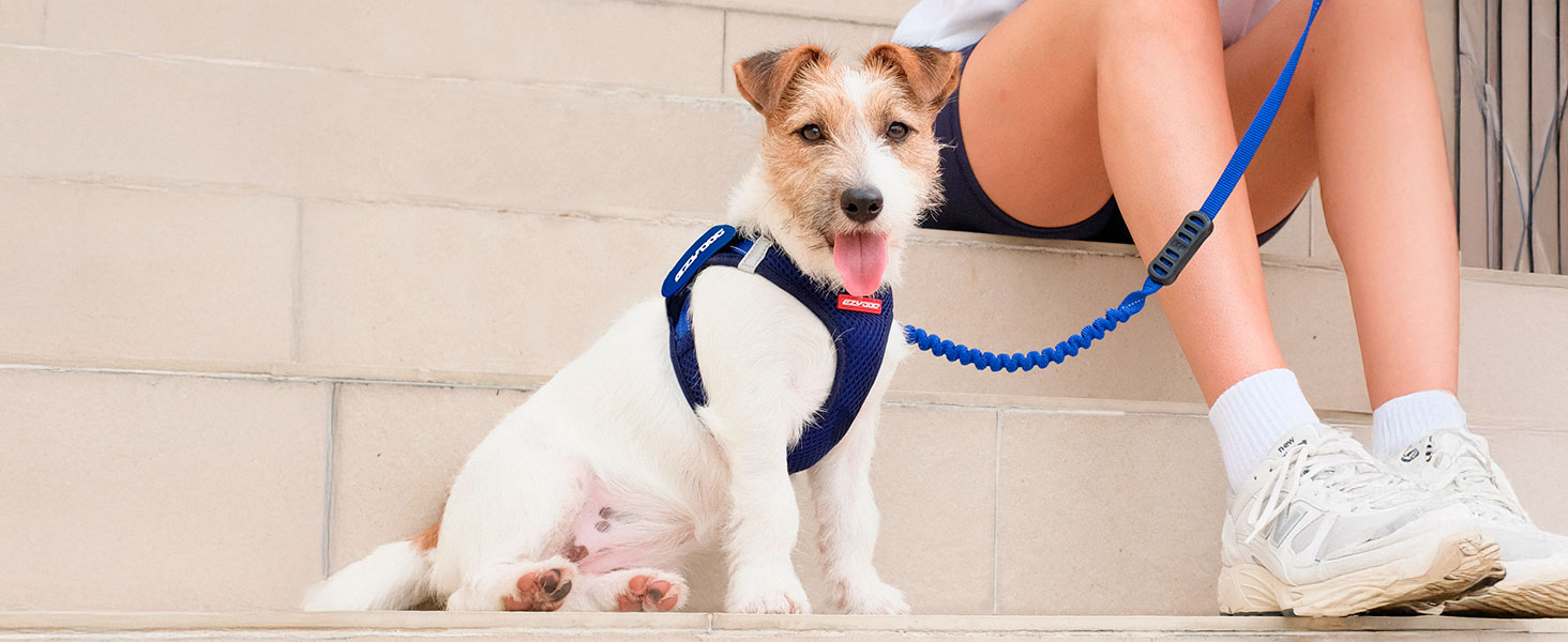 Шлейка для собак EzyDog FORMFIT для маленьких собак – дихаюча сітка 3D Air Mesh, легка, регульована, з відбиваючими елементами та міцним D-подібним кільцем (XS, Червона)