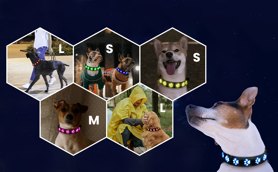 Світловідбиваючий нашийник для собак AUAUY з LED підсвіткою, USB-зарядка, водонепроникний, регульований, для малих, середніх та великих собак, 6 кольорів, Colorful S (30-40 см)