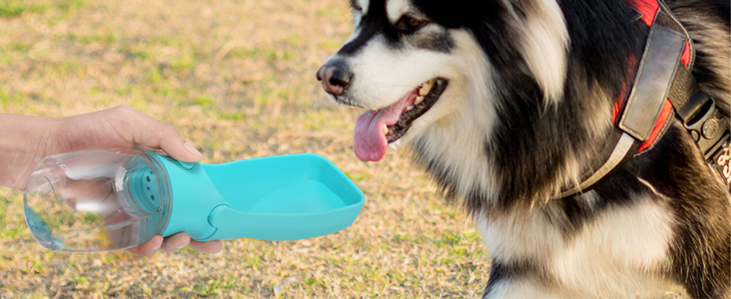Вода для собак на ходу: пляшка-поїльник 570 мл або 350 мл, для цуценят та собак різних розмірів, блакитна