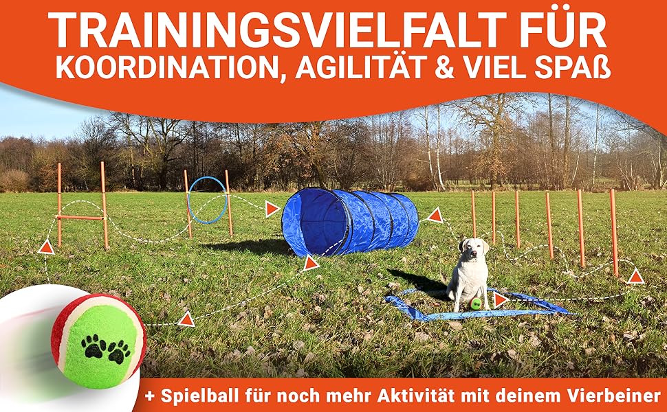 Набір для аджиліті для собак [11-TLG.] - універсальний набір з перешкодами, тунелем, слаломом та іншим для тренування та аджиліті собак - з аксесуарами та сумкою для транспортування, великий розмір