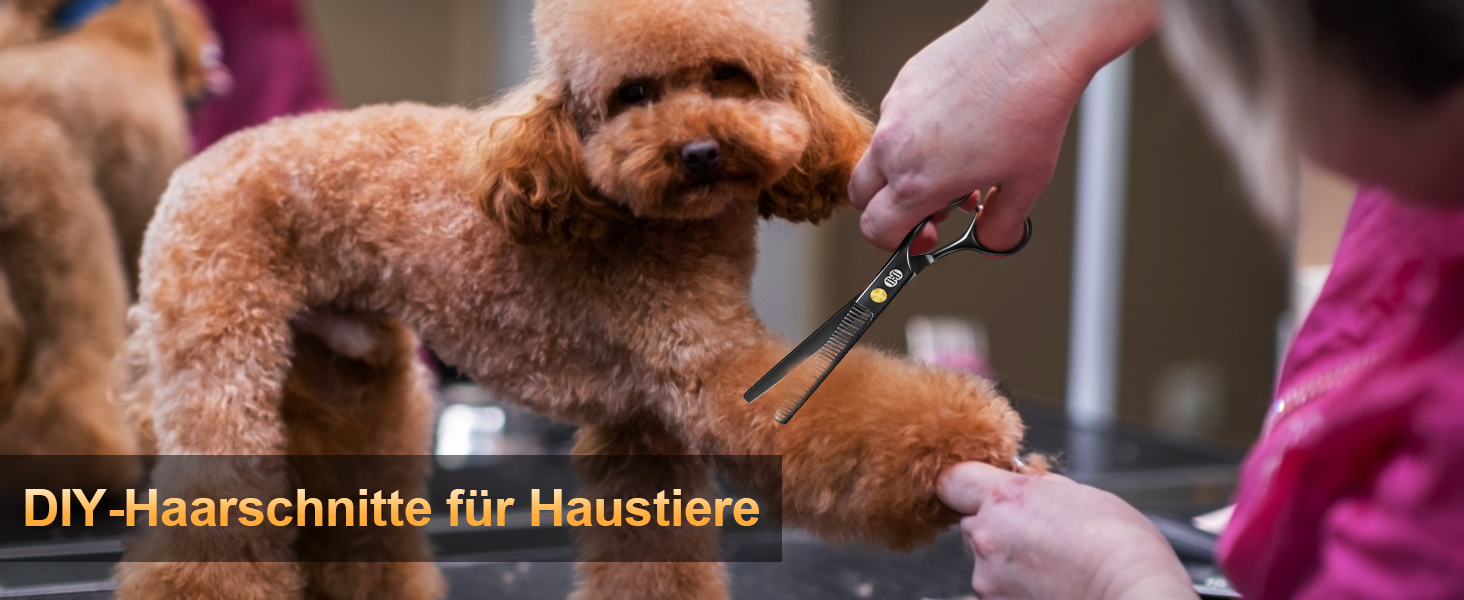 Професійний набір фрізьорських ножиць CIICII (6,7 дюйми) для стрижки волосся, бороди та догляду за тваринами. Чорний колір.