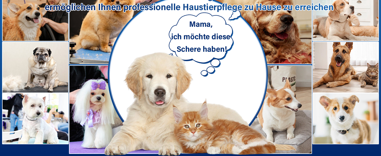 Професійна витончена ножиці для грумінгу собак JASON 7' - ножиці для розрідження шерсті, 21 зуб, з японської сталі 440C