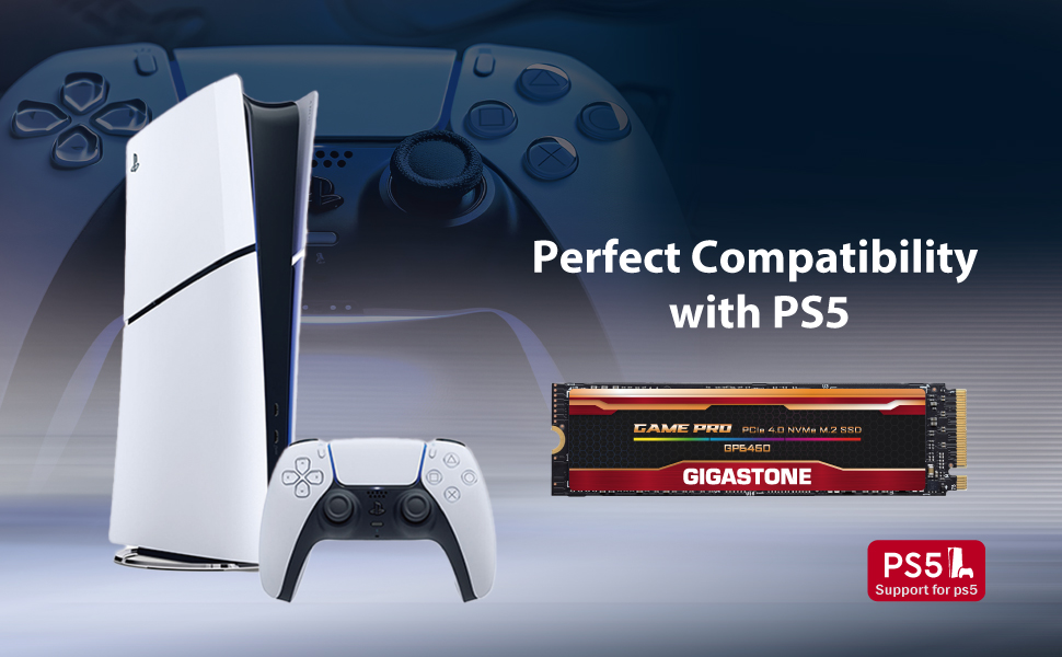 SSD Gigastone GP6450 500GB PCIe 4.0 NVMe M.2 - високошвидкісний накопичувач для ПК, ноутбука, PS5