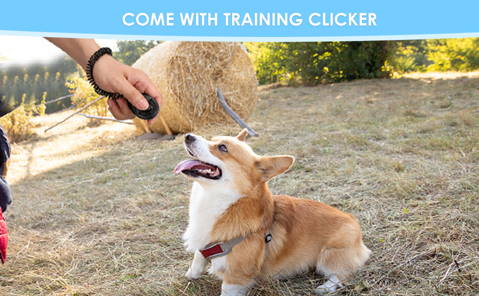 Ласощі для собак Gobeigo, кликер для дресирування, поясна сумка з дозатором кульок, сумочка для ласощів для прогулянок (Чорний)