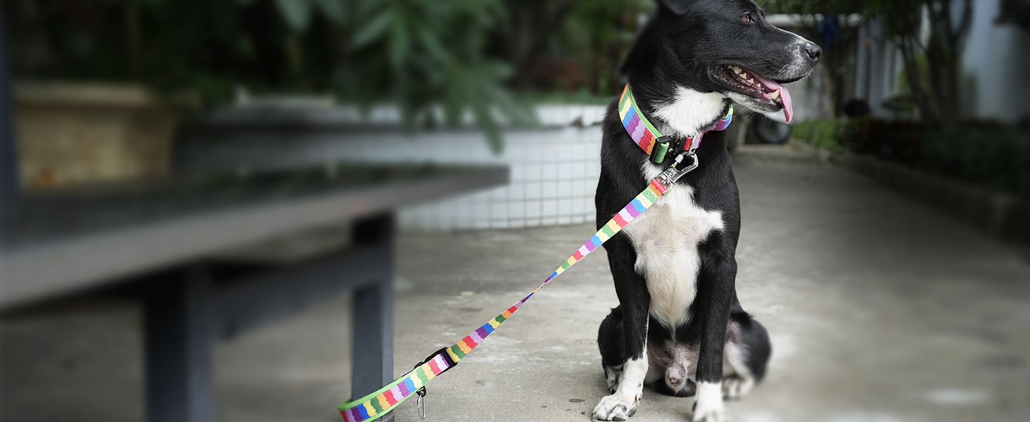 Преміум нашийник для собак TSPRO з ручкою, тактичний, міцний, з металевою застібкою, для середніх та великих собак (червоний L), розмір ручки L (регульований 44.5-62.2 см)