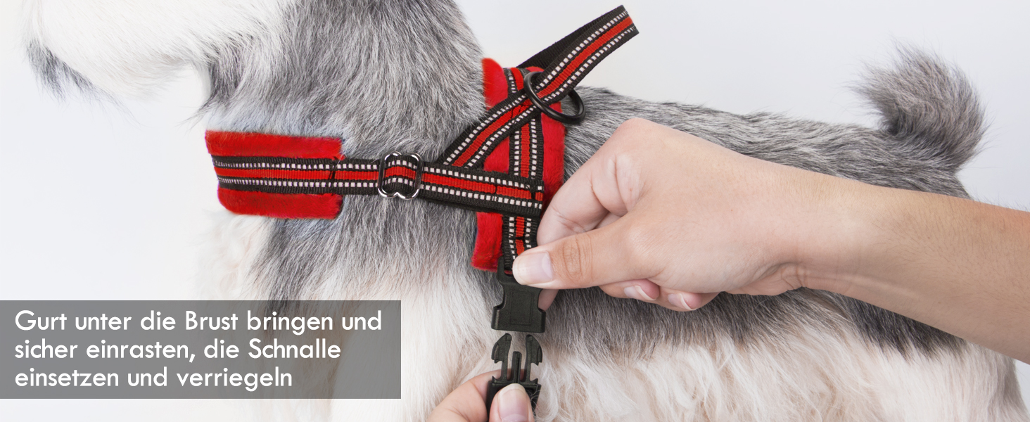 Шлейка для собак SlowTon з повідком, анти-тягнуча, регульована, світловідбиваюча, для цуценят, малих та середніх собак, безпечна, запобігає задушливості, зелена