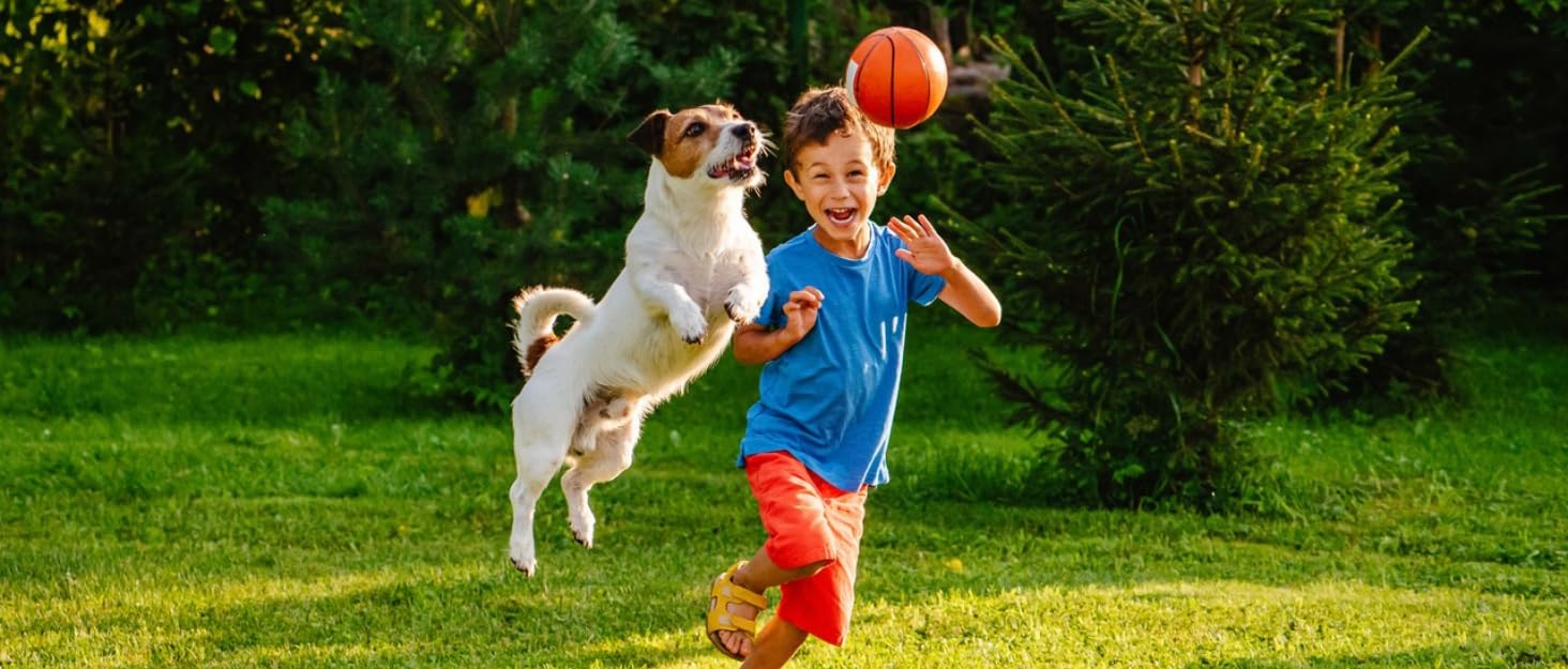 Набір для аджиліті для собак 70 елементів: 8 шлагбаумів, стрибкова петля, м'яч, ящик для перерви, сумка для ласощів, переносна сумка. Розвиває інтелект.