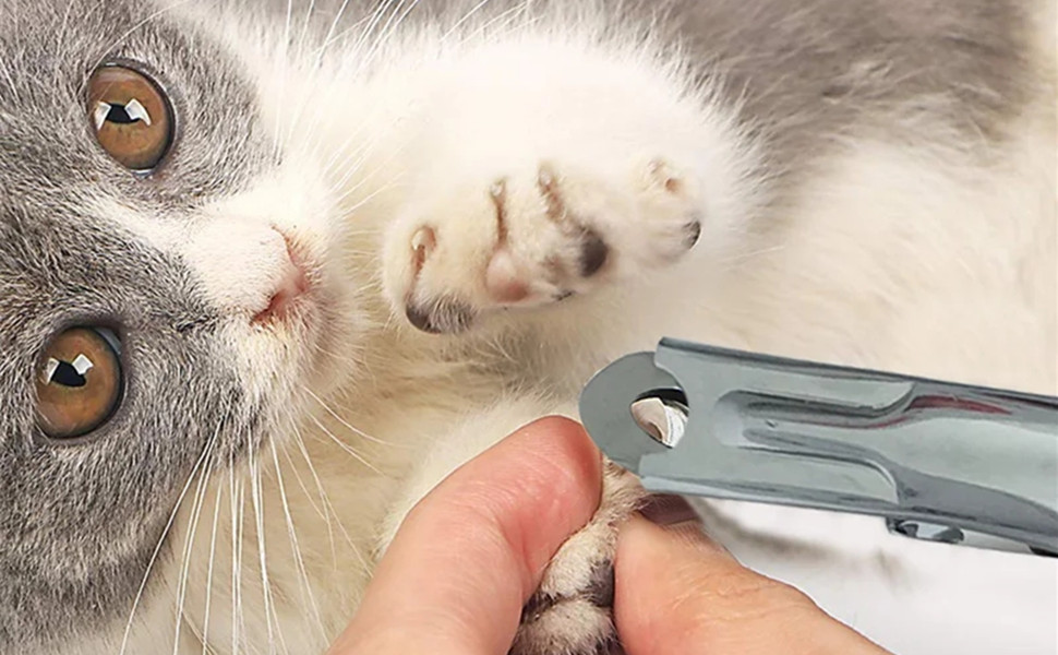 Ножиці для обрізання кігтів домашніх тварин Fdit - для собак та котів, чорний колір