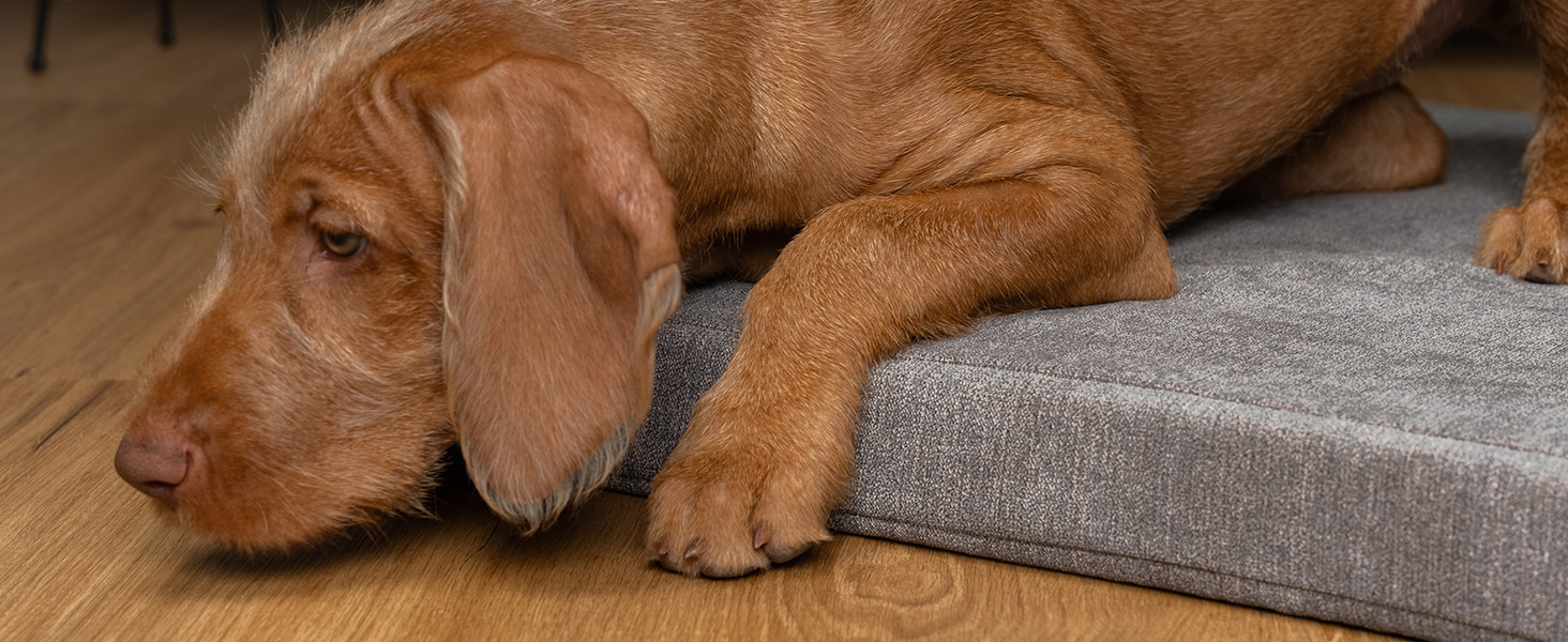 TrendPet VitaMedog: ортопедичний килимок-матрац для собак 130x90 см з пральним покриттям