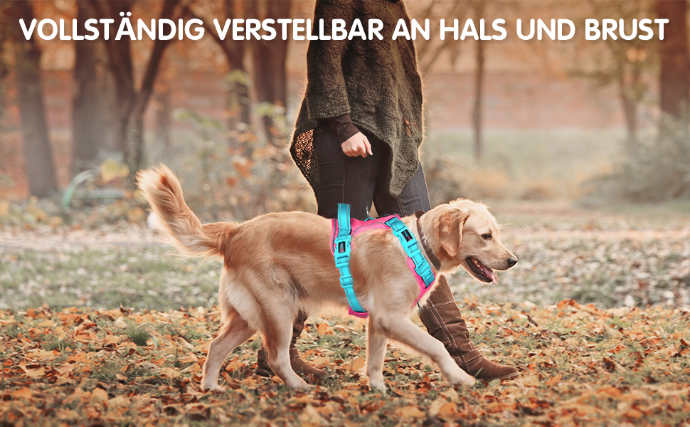 Шлейка для собак PHOEPET Anti-Zug з відбиваючими елементами, регульована, для цуценят та собак різних розмірів (XL, блакитна база & рожеві ремінці)