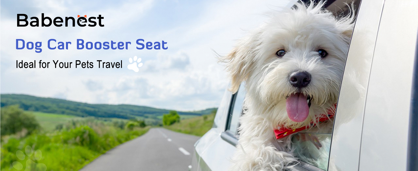 Stable Multi-Pet Car Seat with Safety Belt - Elevated Dog Basket for Medium Dogs, Washable & Reinforced - Royal Blue, Large