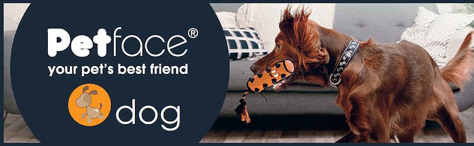 Керамічна годівниця для собак Petface з сірими крапками сірого/білого кольору, 20 см