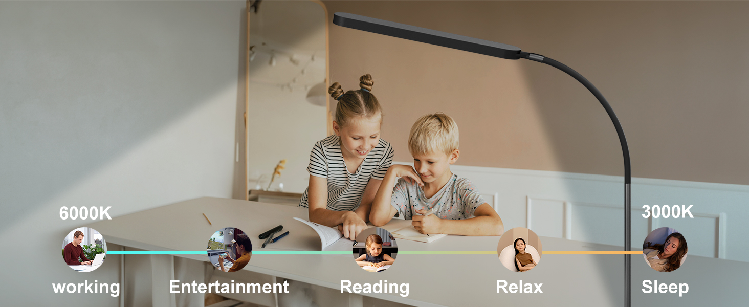 SKYLEO LED Desk Lamp with Adjustable Gooseneck - 80cm Height, 5 Color Modes, 11 Brightness Levels, Timer & Memory Function, 12W, Clamp-On Design