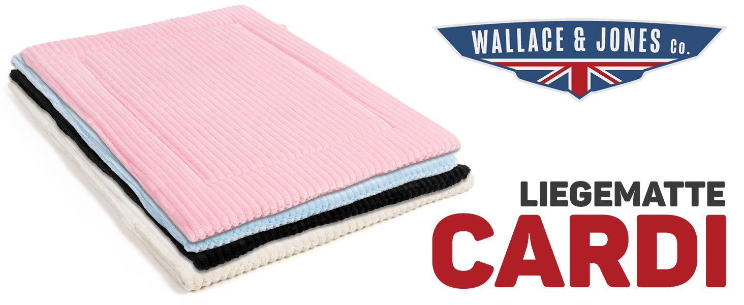 Килимок для собак Wallace & Jone Cardi, 60x45 см, світло-блакитний, для маленьких собак