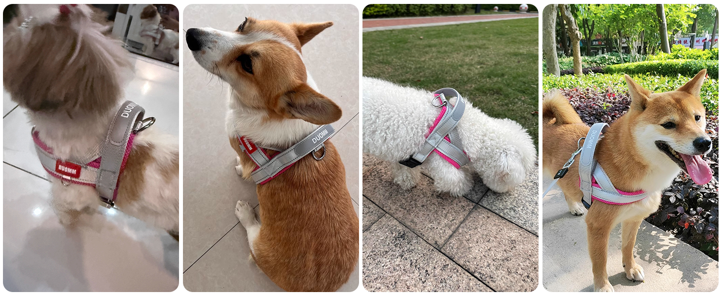 Нашийник для собак середніх та маленьких порід з повідком, кольоровий, з м'якою підкладкою, з ручкою та кільцем, світловідбиваючий, легкий, чорно-сірий, розмір M