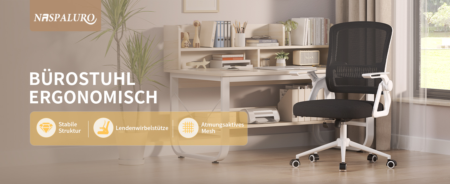 Офісний стіл Naspiro Ergonomischer Bürostuhl: регульований, з сітчастою спинкою та підлокітниками, з підтримкою попереку, для дому та офісу (чорний/білий)