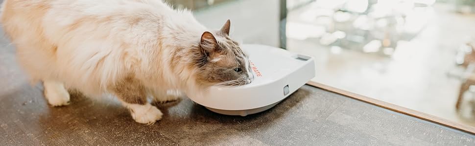 Автоматичний годівниця для котів та маленьких собак Cat Mate C200 з таймером, 2 миски, білий, з охолоджуючим акумулятором, до 400г на порцію
