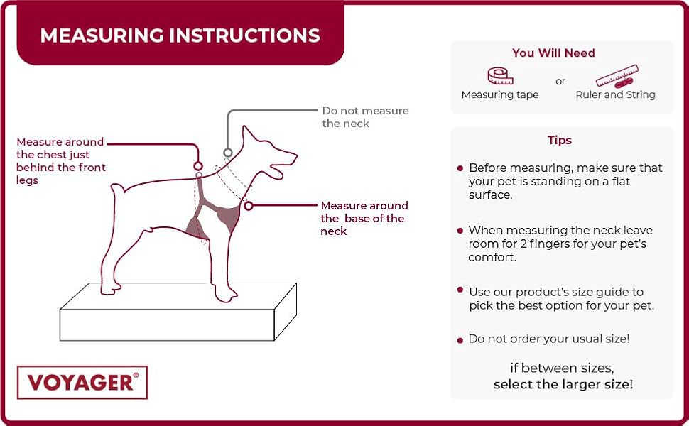 Шлейка для собак Voyager регульована з світловідбиваючими смугами Best Pet Supplies - міцна повна жилетка без натягу з кільцем для повідка, дихаюча, рожева, розмір XS (Обхват грудей: 13-16 дюймів)