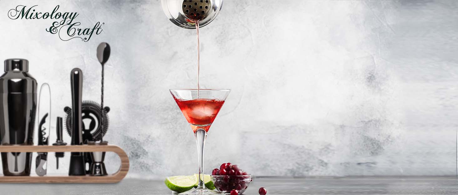 Stainless Steel Cocktail Shaker Set - Mixology Bar Set with Accessories | Silver Cocktail Kit