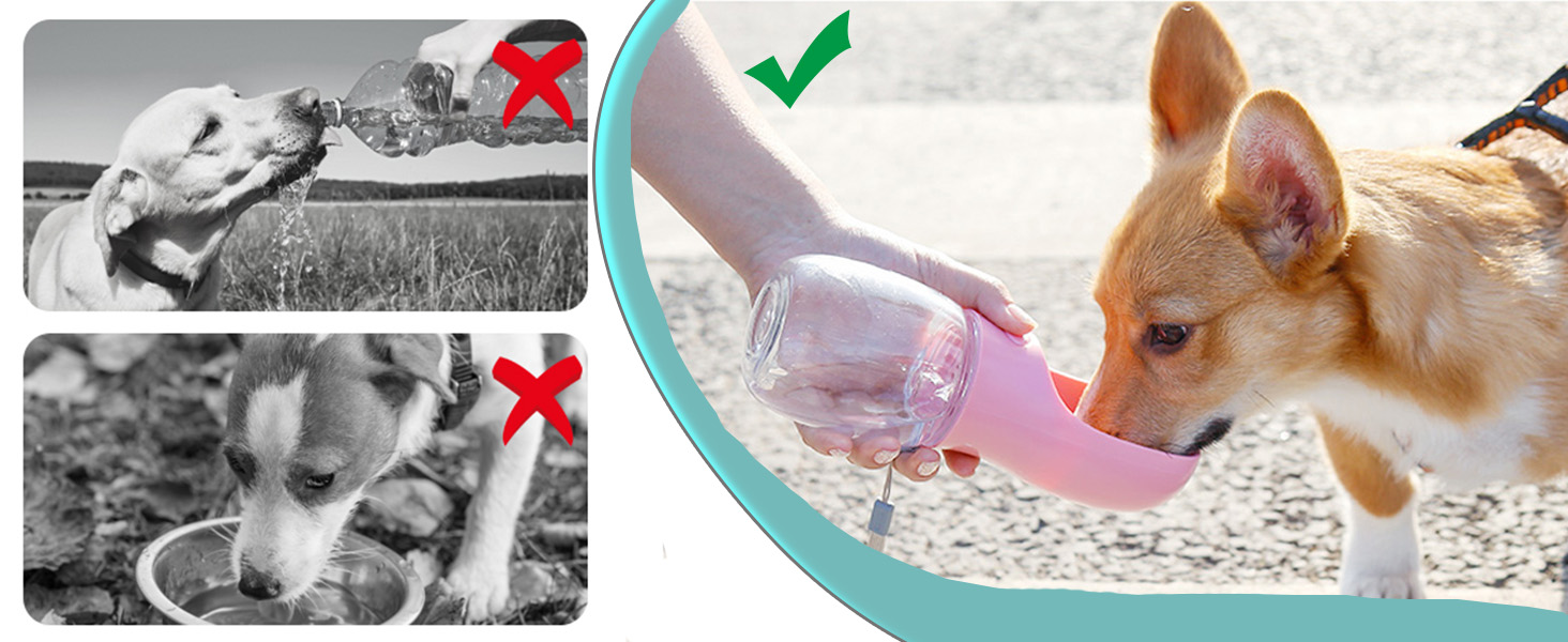 Турботрінка для собак на ходу, 550 мл, BPA-free, витокозахисна, біла