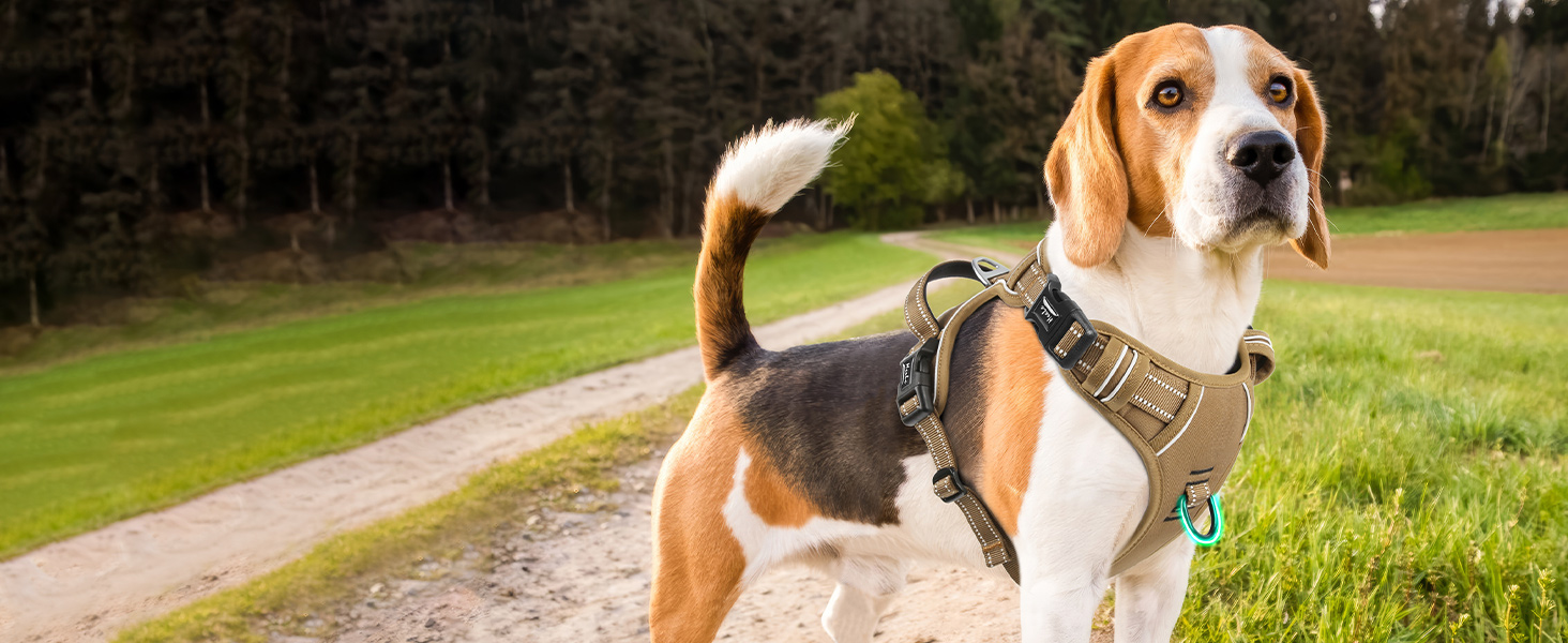 Шлейка для собак HEELE з регулюванням натягу, світловідбиваюча, для середніх собак, з м'якою ручкою, 1 пряжка, легко одягається, коричнева, розмір M, обхват грудей 38-71 см, Uni-Khaki