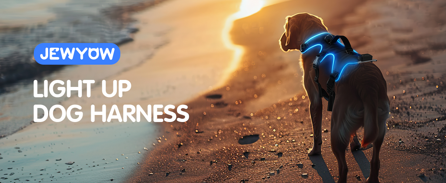 Світловідбиваючий нашийник для собак Jewyow з LED, перезаряджуваний, м'який, регульований, водонепроникний, зелений (XL)