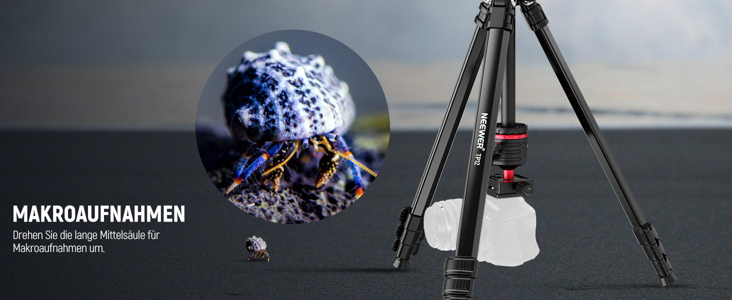 NEEWER Штатив для камери 169см, легкий, з кульковою головкою, Arca тип, тримач для телефону, максимальне навантаження 11lb, TP12