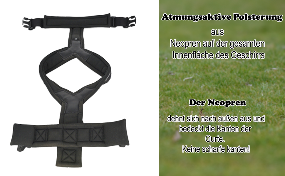 Нашийник для собак ILII Y - міцний, елегантний та комфортний. Унікальний дизайн для середніх та великих собак. Чорний, мінімальне покриття