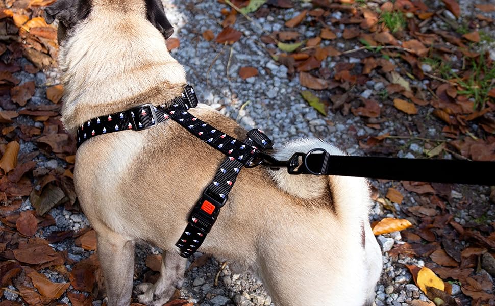 Нашийник Karlie Art Sportiv Plus для собак, розмір L (90-120 см), ширина 25 мм, XL (15 мм), сірий з крапками