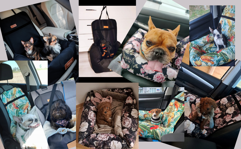 Крісло для собак у машину Petsen з іменем, чорне, для маленьких собак, з поводом