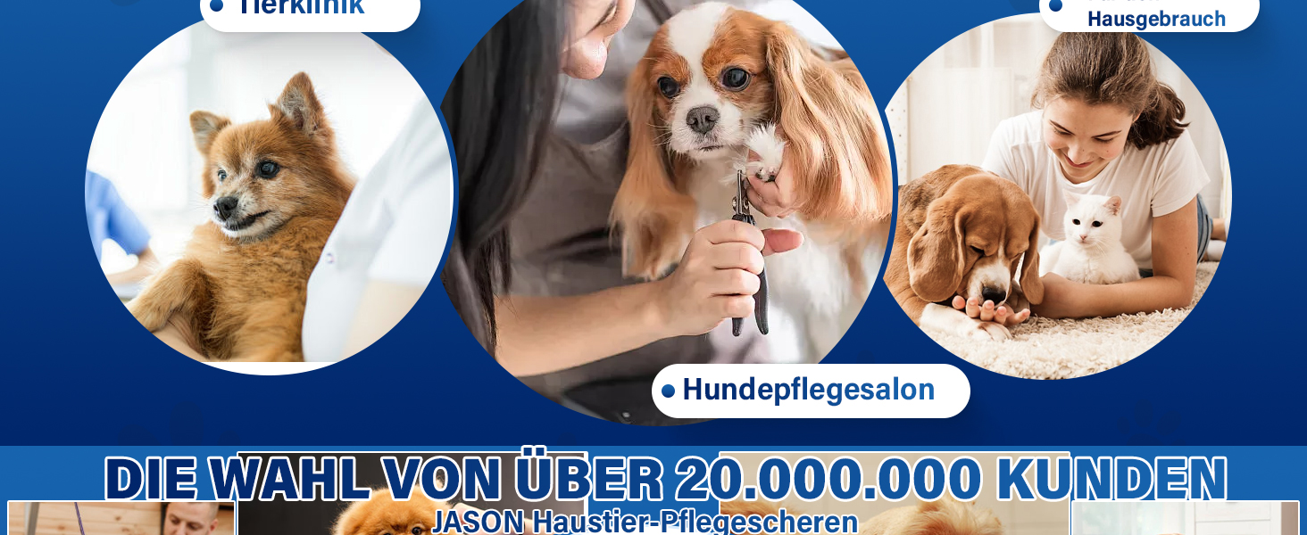 Професійна витончена ножиці для грумінгу собак JASON 7' - ножиці для розрідження шерсті, 21 зуб, з японської сталі 440C